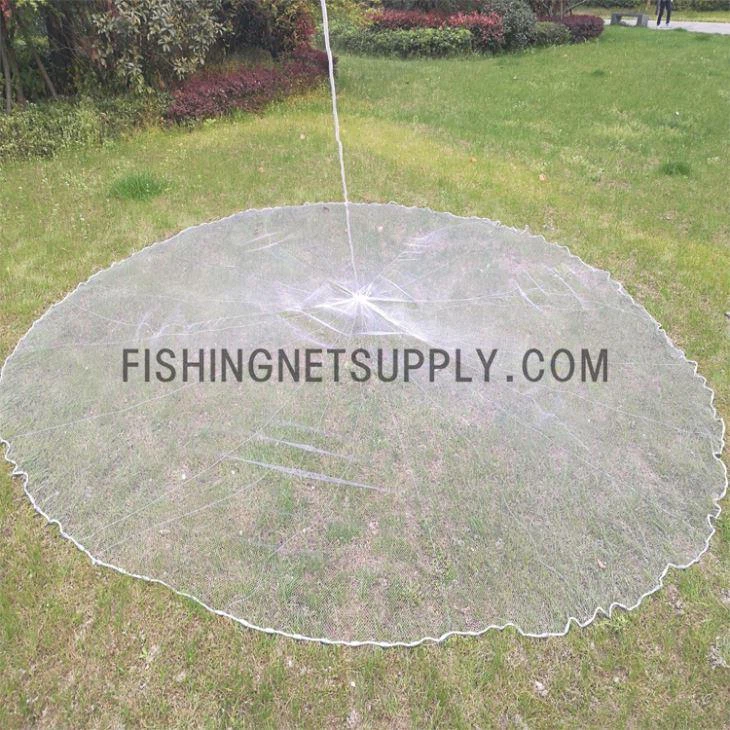 کاسٹ نیٹ پھینک دیں